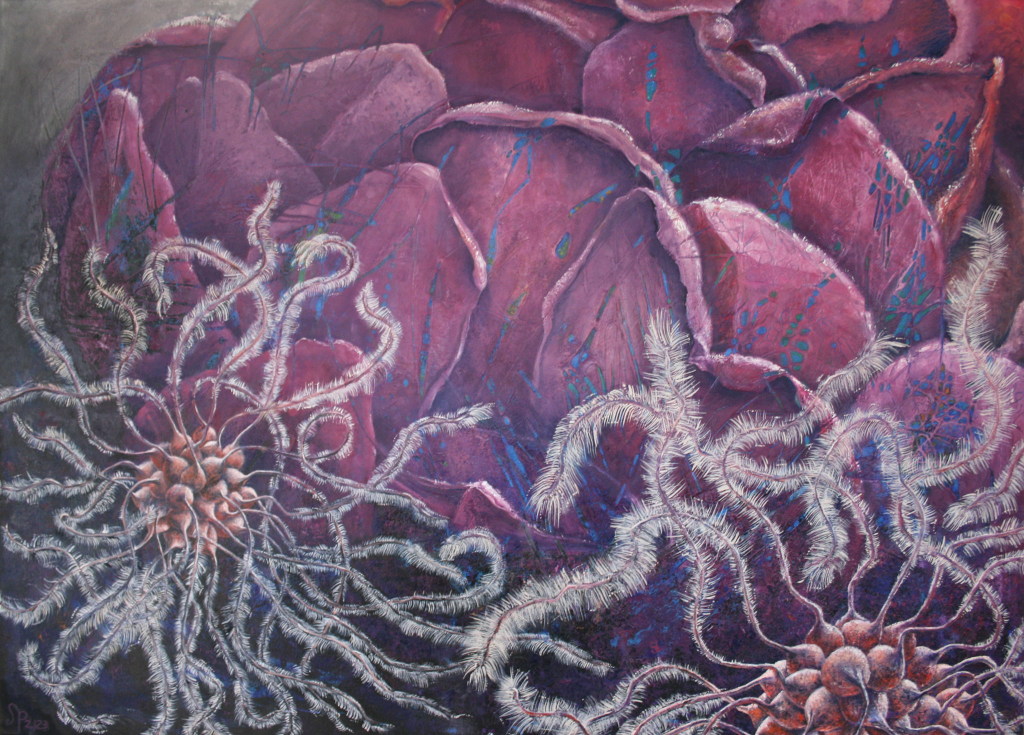 Waldrebensamen-an-Hortensie-web