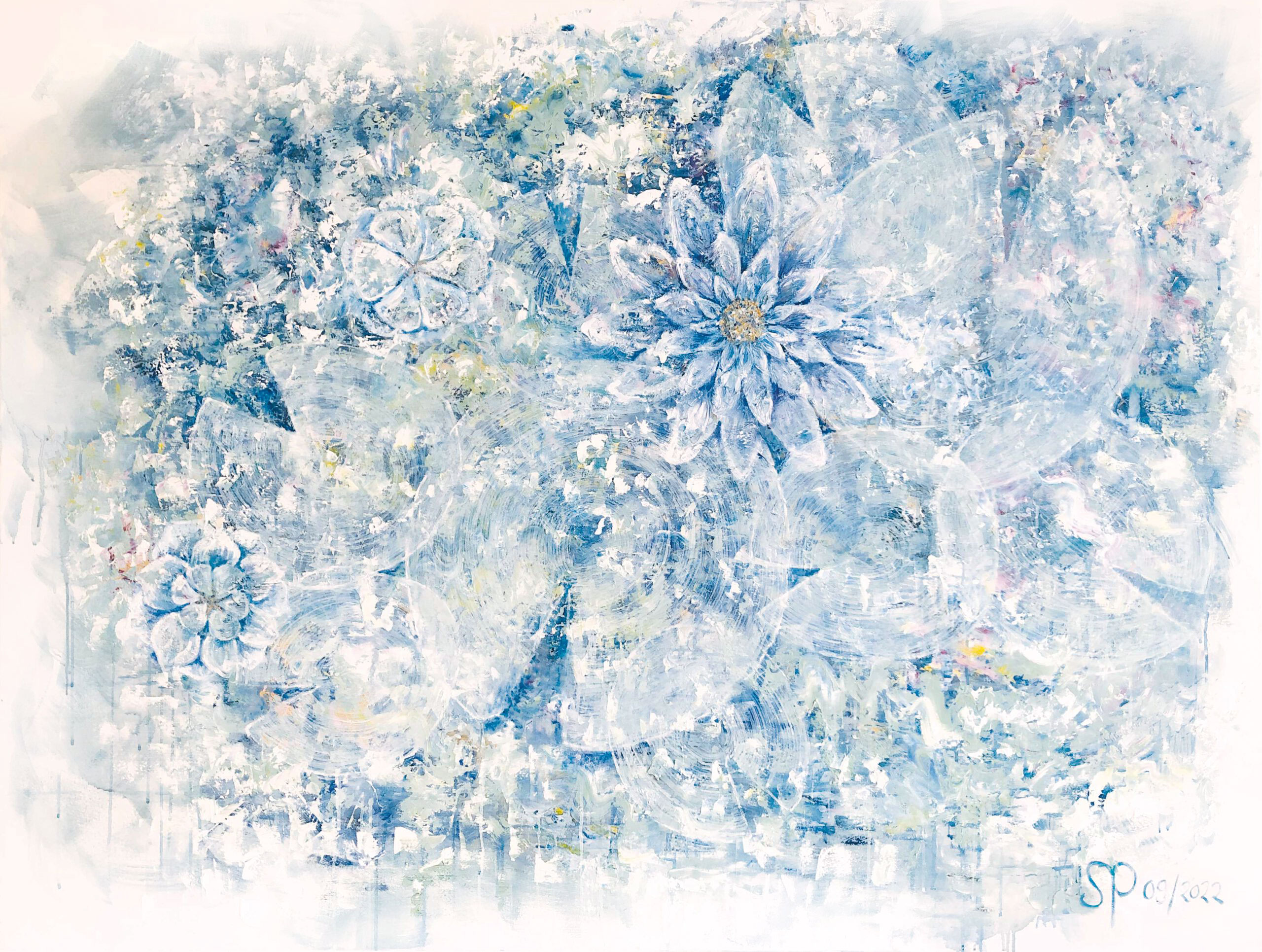 Seerosen-von-oben_web